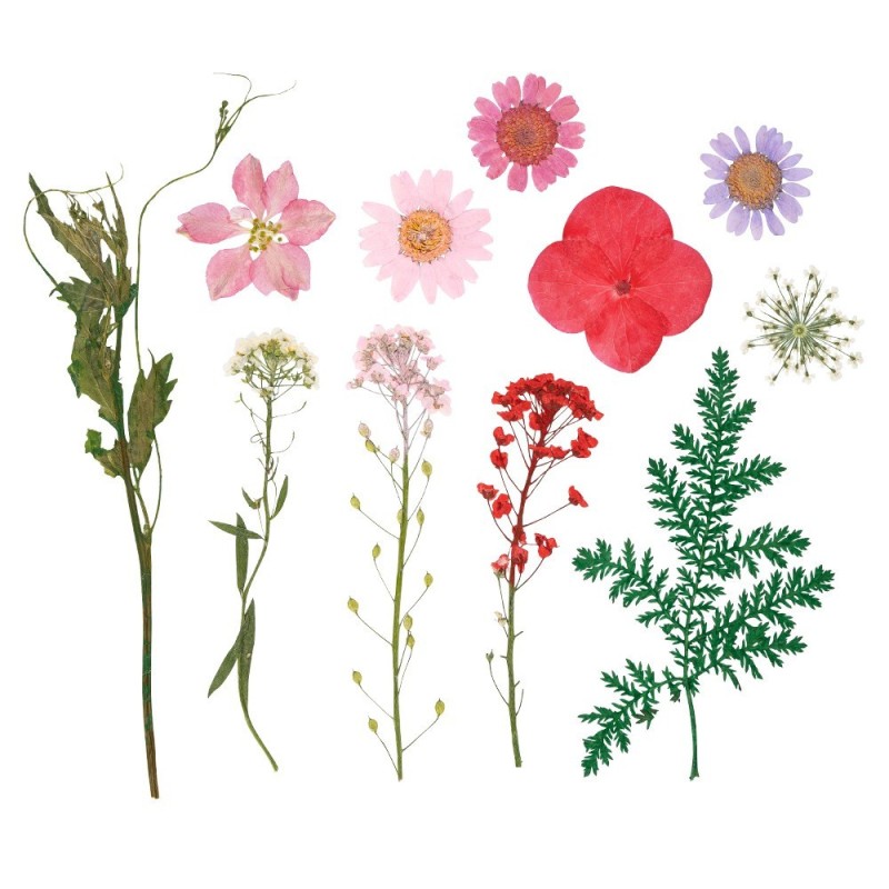 Kwiaty suszone prasowane w odcieniach różu