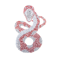 Termo aplikacja rozm. A4,...