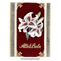 Papier zamszowy, dekoracyjny A4, 10 szt