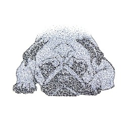 Termo aplikacje z kamieni hot fix, 5szt