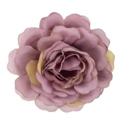 Roża krzewiasta, mix kolorów, Ø 5cm, 12szt.