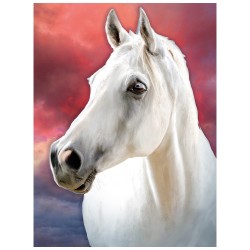 obraz do malowania haftem diamentowym koń
