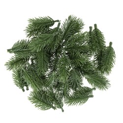 gałązki jodły ozdobnej,