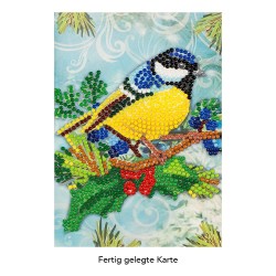 diamonfd painting, sikorka,