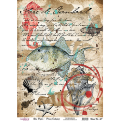 Papier ryżowy Cadence,...