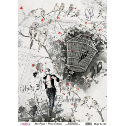 Papier ryżowy A4 - PR0137