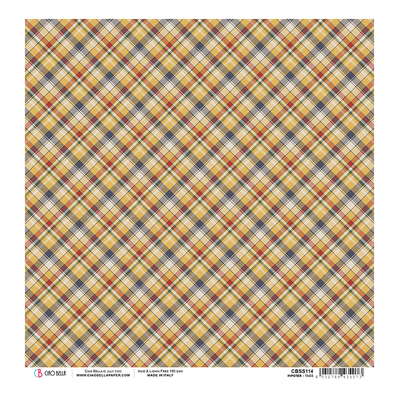 Hipster rozm. 30,5x30,5cm CBSS114