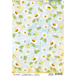 Piuma A4 papier ryżowy CBRP126