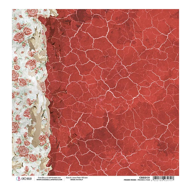 Frozen Roses ramki arkusz papieru rozm. 30,5x30,5 cm