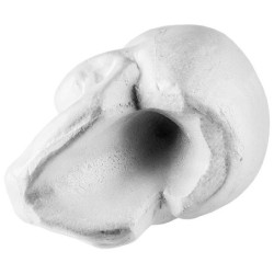 Czaszka styropianowa, 20cm x 19cm