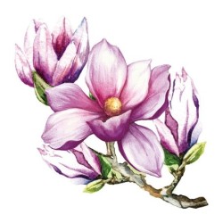 Motywy 3D, wiosenne gałązki 10 szt.