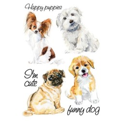 Prasowanka, termo...