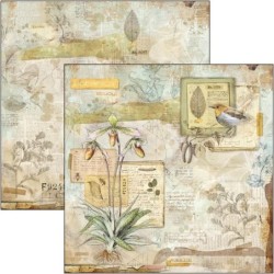 Sign of the Times zestaw 12 kartek rozm. 30,5 x 30,5 cm