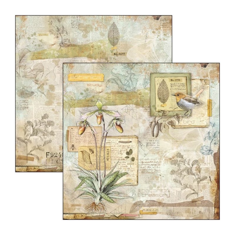 Sign of the Times zestaw 12 kartek rozm. 20,3 cm x 20,3 cm