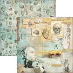 Sign of the Times zestaw , 24 kartki rozm. 15cm x 15cm