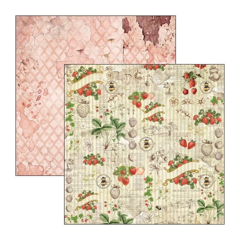 Aesop's Fables zestaw, 24 kartki, rozm. 15cm x 15cm