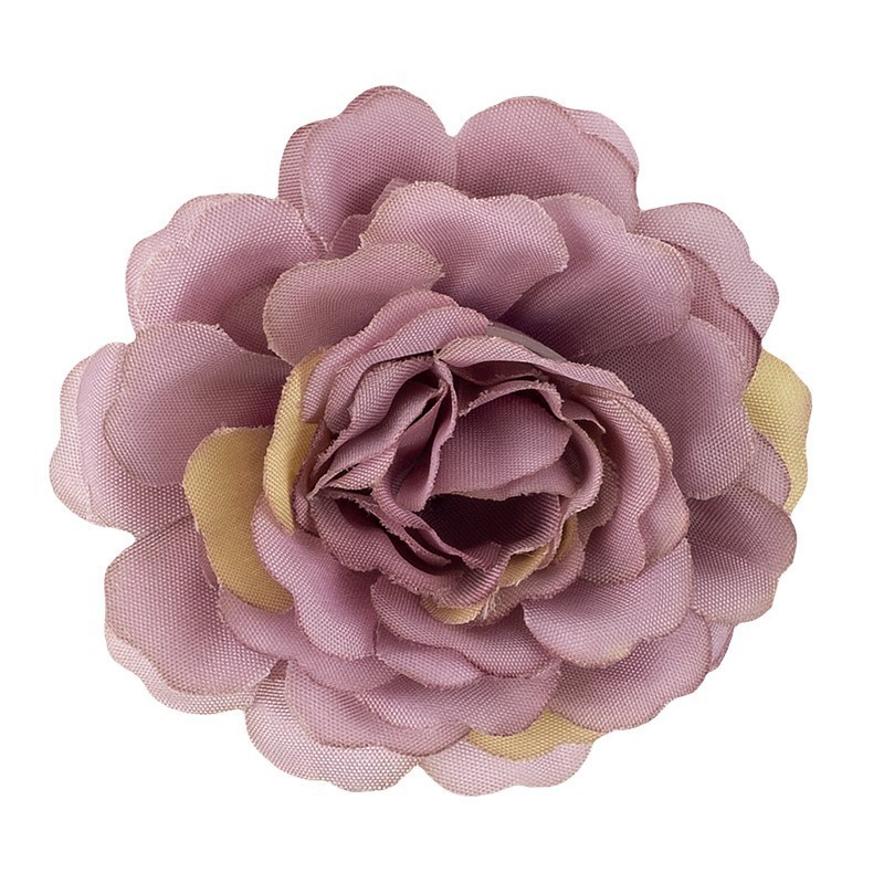 Roża krzewiasta, mix kolorów, Ø 5cm, 12szt.